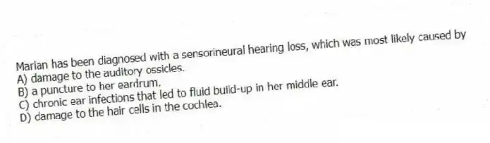 Marian has been diagnosed with a sensorineural hearing loss, which was most likely caused by
A) damage to the auditory ossicles.
B) a puncture to her eardrum.
C) chronic ear infections that led to fluid build-up in her middle ear.
D) damage to the hair cells in the cochlea.