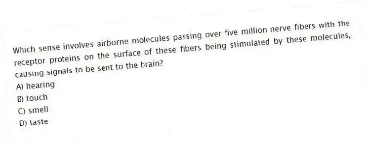 Which sense involves airborne molecules passing over five million nerve fibers with the receptor proteins on the surface of these fibers being stimulated by these molecules, causing signals to be sent to the brain?
A) hearing
B) touch
C) smell
D) taste