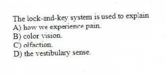 The lock-and-key system is used to explain
A) how we experience pain.
B) color vision.
C) olfaction.
D) the vestibulary sense.