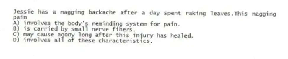 Jessie has a nagging backache after a day spent raking leaves.This nagging pain
A) involves the body's reminding system for pain.
B) is carried by small nerve fibers.
C) may cause agony long after this injury has healed.
D) involves all of these characteristics.