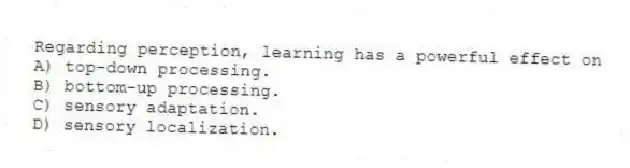 Regarding perception, learning has a powerful effect on
A) top-down processing.
B) bottom-up processing.
C) sensory adaptation.
D) sensory localization.