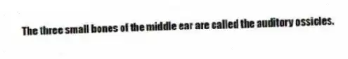 The three small bones of the middle ear are called the auditory ossicles.