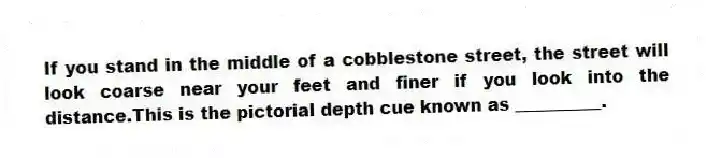 If you stand in the middle of a cobblestone street, the street will look coarse near your feet and finer if you look into the distance.This is the pictorial depth cue known as __________.