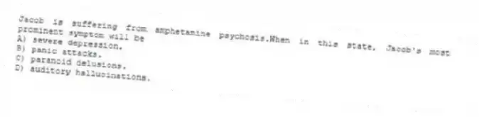 Jacob is suffering from amphetamine psychosis.When in this state, Jacob's most prominent symptom will be
A) severe depression.
B) panic attacks.
C) paranoid delusions.
D) auditory hallucinations.