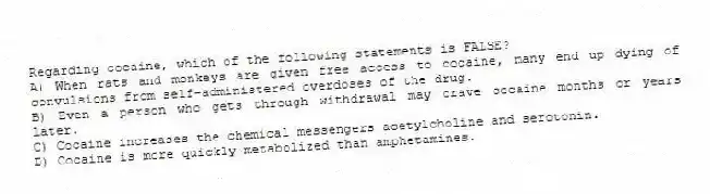 Regarding cocaine, which of the following statements is FALSE?
A) When rats and monkeys are given free access to cocaine, many end up dying of convulsions from self-administered overdoses of the drug.
B) Even a person who gets through withdrawal may crave cocaine months or years later.
C) Cocaine increases the chemical messengers acetylcholine and serotonin.
D) Cocaine is more quickly metabolized than amphetamines.