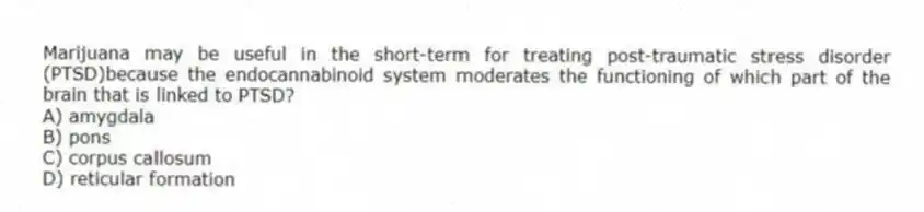 Marijuana may be useful in the short-term for treating post-traumatic stress disorder (PTSD)because the endocannabinoid system moderates the functioning of which part of the brain that is linked to PTSD?
A) amygdala
B) pons
C) corpus callosum
D) reticular formation
