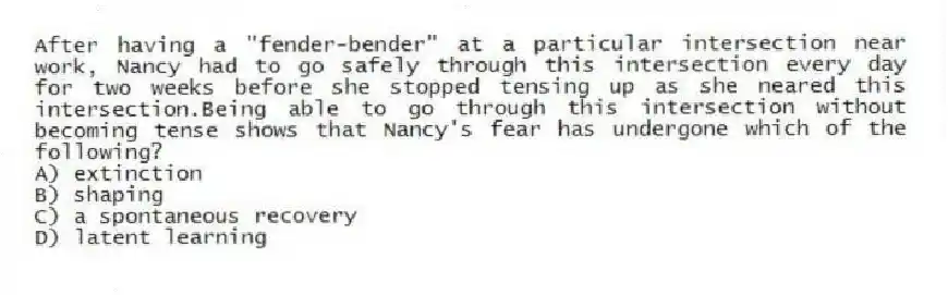 After having a "fender-bender" at a particular intersection near work, Nancy had to go safely through this intersection every day for two weeks before she stopped tensing up as she neared this intersection.Being able to go through this intersection without becoming tense shows that Nancy's fear has undergone which of the following?
A) extinction
B) shaping
C) a spontaneous recovery
D) latent learning