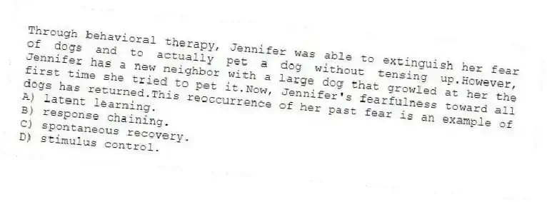 Through behavioral therapy, Jennifer was able to extinguish her fear of dogs and to actually pet a dog without tensing up.However, Jennifer has a new neighbor with a large dog that growled at her the first time she tried to pet it.Now, Jennifer's fearfulness toward all dogs has returned.This reoccurrence of her past fear is an example of
A) latent learning.
B) response chaining.
C) spontaneous recovery.
D) stimulus control.