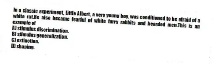In a classic experiment, Little Albert, a very young boy, was conditioned to be afraid of a white rat.He also became fearful of white furry rabbits and bearded men.This is an example of
A) stimulus discrimination.
B) stimulus generalization.
C) extinction.
D) shaping.
