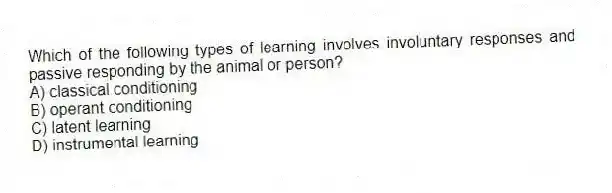 Which of the following types of learning involves involuntary responses and passive responding by the animal or person?
A) classical conditioning
B) operant conditioning
C) latent learning
D) instrumental learning