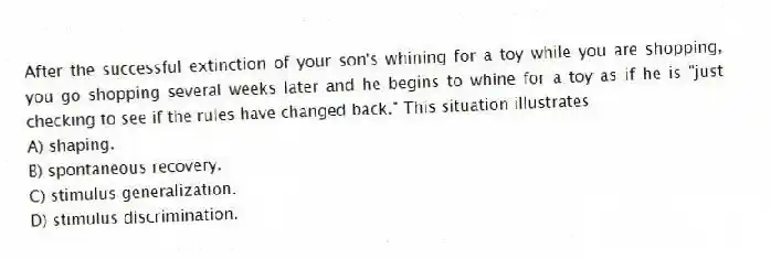 After the successful extinction of your son's whining for a toy while you are shopping, you go shopping several weeks later and he begins to whine for a toy as if he is "just checking to see if the rules have changed back." This situation illustrates
A) shaping.
B) spontaneous recovery.
C) stimulus generalization.
D) stimulus discrimination.