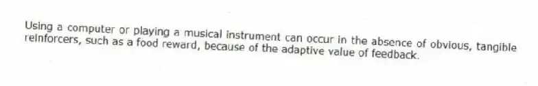 Using a computer or playing a musical instrument can occur in the absence of obvious, tangible reinforcers, such as a food reward, because of the adaptive value of feedback.