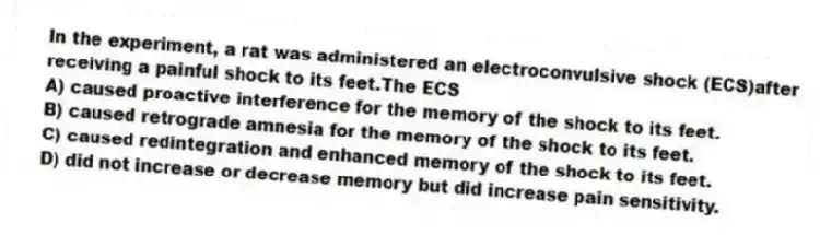 In the experiment, a rat was administered an electroconvulsive shock (ECS)after receiving a painful shock to its feet.The ECS
A) caused proactive interference for the memory of the shock to its feet.
B) caused retrograde amnesia for the memory of the shock to its feet.
C) caused redintegration and enhanced memory of the shock to its feet.
D) did not increase or decrease memory but did increase pain sensitivity.