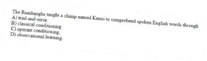 The Rumbaughs taught a chimp named Kanzi to comprehend spoken English words through
A) trial-and-error.
B) classical conditioning.
C) operant conditioning.
D) observational learning.