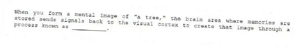When you form a mental image of "a tree," the brain area where memories are stored sends signals back to the visual cortex to create that image through a process known as __________.