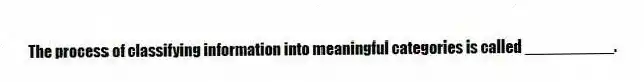 The process of classifying information into meaningful categories is called __________.