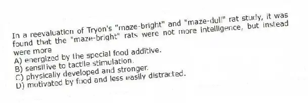 In a reevaluation of Tryon's "maze-bright" and "maze-dull" rat study, it was found that the "maze-bright" rats were not more intelligence, but instead were more
A) energized by the special food additive.
B) sensitive to tactile stimulation.
C) physically developed and stronger.
D) motivated by food and less easily distracted.