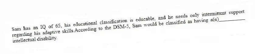 Sam has an IQ of 65, his educational classification is educable, and he needs only intermittent support regarding his adaptive skills.According to the DSM-5, Sam would be classified as having a(n)__________ intellectual disability.