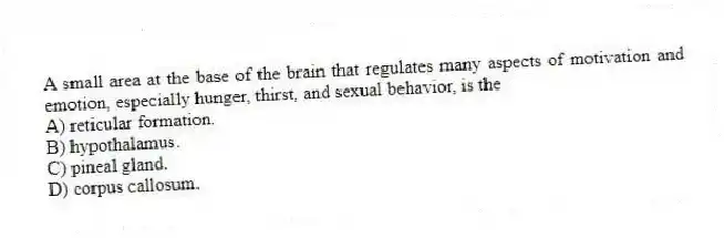 A small area at the base of the brain that regulates many aspects of motivation and emotion, especially hunger, thirst, and sexual behavior, is the
A) reticular formation.
B) hypothalamus.
C) pineal gland.
D) corpus callosum.
