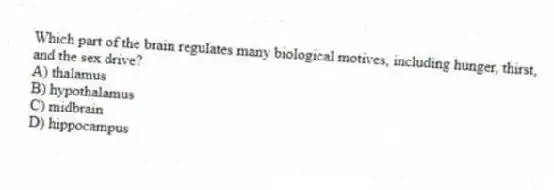 Which part of the brain regulates many biological motives, including hunger, thirst, and the sex drive?
A) thalamus
B) hypothalamus
C) midbrain
D) hippocampus