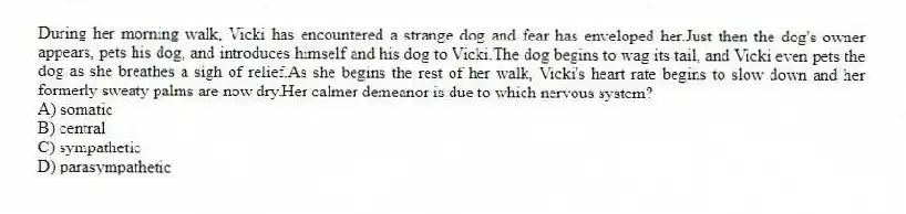 During her morning walk, Vicki has encountered a strange dog and fear has enveloped her.Just then the dog's owner appears, pets his dog, and introduces himself and his dog to Vicki.The dog begins to wag its tail, and Vicki even pets the dog as she breathes a sigh of relief.As she begins the rest of her walk, Vicki's heart rate begins to slow down and her formerly sweaty palms are now dry.Her calmer demeanor is due to which nervous system?
A) somatic
B) central
C) sympathetic
D) parasympathetic