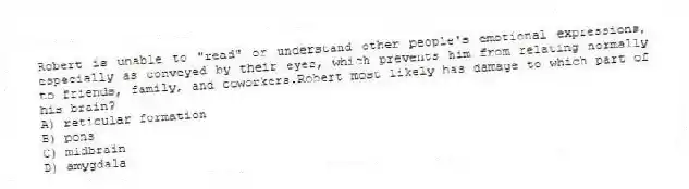 Robert is unable to "read" or understand other people's emotional expressions, especially as conveyed by their eyes, which prevents him from relating normally to friends, family, and coworkers.Robert most likely has damage to which part of his brain?
A) reticular formation
B) pons
C) midbrain
D) amygdala