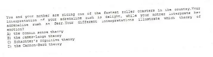You and your mother are riding one of the fastest roller coasters in the country.Your interpretation of your adrenaline rush is delight, while your mother interprets her adrenaline rush as fear.Your different interpretations illustrate which theory of emotion?
A) the common sense theory
B) the James-Lange theory
C) Schachter's cognitive theory
D) the Cannon-Bard theory