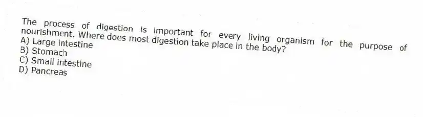 The process of digestion is important for every living organism for the purpose of nourishment. Where does most digestion take place in the body?
A) Large intestine
B) Stomach
C) Small intestine
D) Pancreas