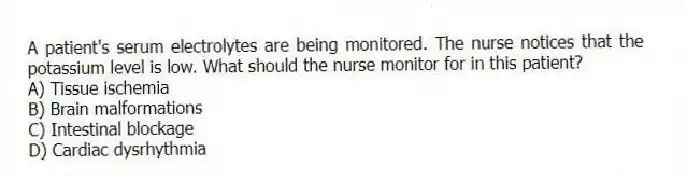 A patient's serum electrolytes are being monitored. The nurse notices that the potassium level is low. What should the nurse monitor for in this patient?
A) Tissue ischemia
B) Brain malformations
C) Intestinal blockage
D) Cardiac dysrhythmia