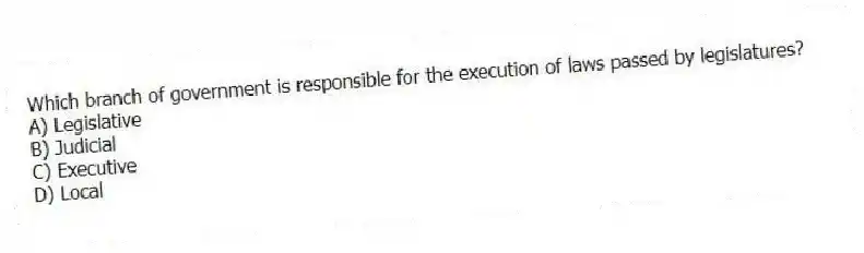 Which branch of government is responsible for the execution of laws passed by legislatures?
A) Legislative
B) Judicial
C) Executive
D) Local