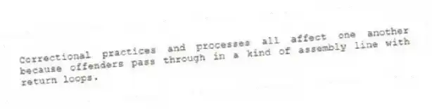 Correctional practices and processes all affect one another because offenders pass through in a kind of assembly line with return loops.