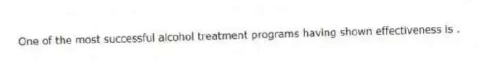 One of the most successful alcohol treatment programs having shown effectiveness is .