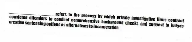 __________________ refers to the process by which private investigative firms contract convicted offenders to conduct comprehensive background checks and suggest to judges creative sentencing options as alternatives to incarceration
