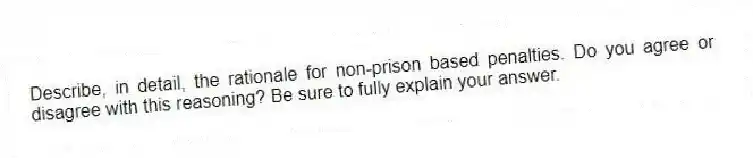 Describe, in detail, the rationale for non-prison based penalties. Do you agree or disagree with this reasoning? Be sure to fully explain your answer. 