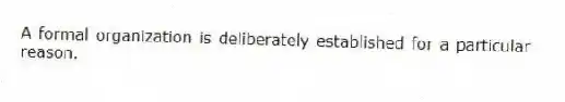A formal organization is deliberately established for a particular reason.