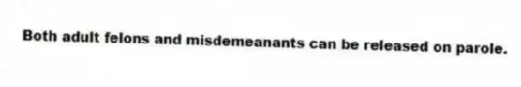 Both adult felons and misdemeanants can be released on parole.