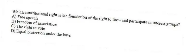 Which constitutional right is the foundation of the right to form and participate in interest groups?
A) Free speech
B) Freedom of association
C) The right to vote
D) Equal protection under the laws