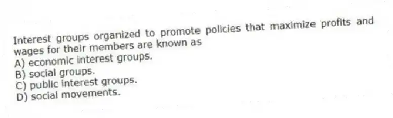 Interest groups organized to promote policies that maximize profits and wages for their members are known as
A) economic interest groups.
B) social groups.
C) public interest groups.
D) social movements.