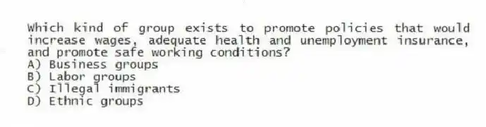 Which kind of group exists to promote policies that would increase wages, adequate health and unemployment insurance, and promote safe working conditions?
A) Business groups
B) Labor groups
C) Illegal immigrants
D) Ethnic groups