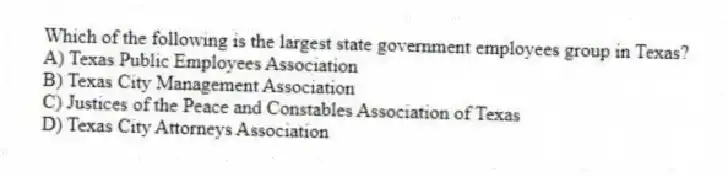 Which of the following is the largest state government employees group in Texas?
A) Texas Public Employees Association
B) Texas City Management Association
C) Justices of the Peace and Constables Association of Texas
D) Texas City Attorneys Association