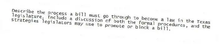Describe the process a bill must go through to become a law in the Texas legislature. Include a discussion of both the formal procedures, and the strategies legislators may use to promote or block a bill.