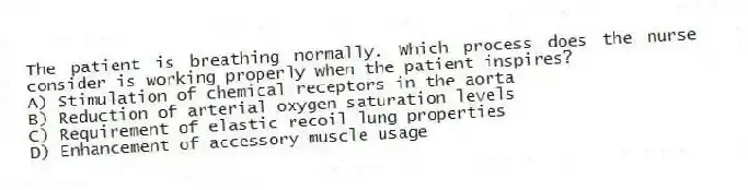 The patient is breathing normally. Which process does the nurse consider is working properly when the patient inspires?
A) Stimulation of chemical receptors in the aorta
B) Reduction of arterial oxygen saturation levels
C) Requirement of elastic recoil lung properties
D) Enhancement of accessory muscle usage