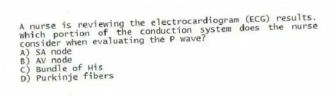 A nurse is reviewing the electrocardiogram (ECG) results. Which portion of the conduction system does the nurse consider when evaluating the P wave?
A) SA node
B) AV node
C) Bundle of His
D) Purkinje fibers
