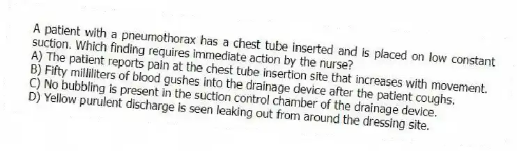 A patient with a pneumothorax has a chest tube inserted and is placed on low constant suction. Which finding requires immediate action by the nurse?
A) The patient reports pain at the chest tube insertion site that increases with movement.
B) Fifty milliliters of blood gushes into the drainage device after the patient coughs.
C) No bubbling is present in the suction control chamber of the drainage device.
D) Yellow purulent discharge is seen leaking out from around the dressing site.