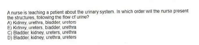 A nurse is teaching a patient about the urinary system. In which order will the nurse present the structures, following the flow of urine?
A) Kidney, urethra, bladder, ureters
B) Kidney, ureters, bladder, urethra
C) Bladder, kidney, ureters, urethra
D) Bladder, kidney, urethra, ureters