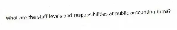 What are the staff levels and responsibilities at public accounting firms?