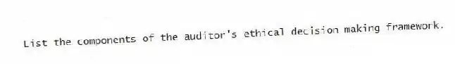 List the components of the auditor's ethical decision making framework.
