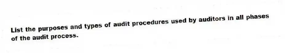 List the purposes and types of audit procedures used by auditors in all phases of the audit process.