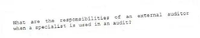 What are the responsibilities of an external auditor when a specialist is used in an audit?