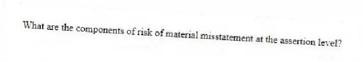 What are the components of risk of material misstatement at the assertion level?
